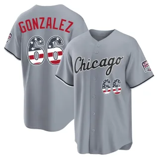 Limited Men's Wikelman Gonzalez Chicago White Sox USA 250 Fourth Of July Road Stadium Jersey - Gray